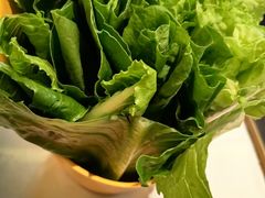 -润园四季椰子鸡火锅(南山海岸城店)