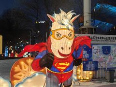-沈阳奥体冰雪嘉年华