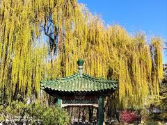 -中国农业博物馆