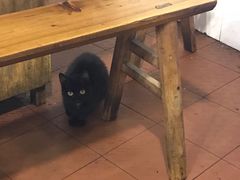 -苟味道老火锅(黄桷坪店)