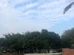 -侯臣咖啡文化村