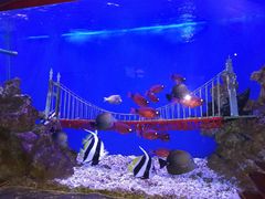 -太平洋海底世界