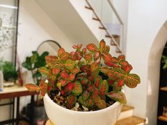 -森野花艺培训·企业团建活动沙龙