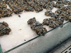 -半岛听涛蒸汽海鲜自助(K11店)