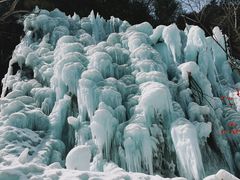 -青峰峡国家森林公园