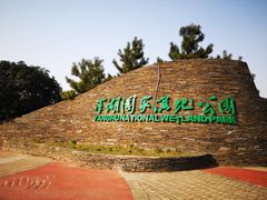 -洋湖国家湿地公园