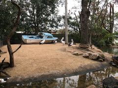 -费瑟代尔野生动物园