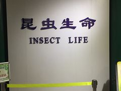 -上海昆虫博物馆