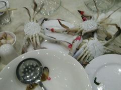 -春华海鲜城(广场西苑店)