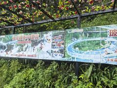 -广东天露山旅游度假区