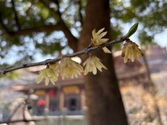 -南京市江宁方山
