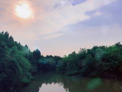 -吴淞炮台湾湿地森林公园烧烤区