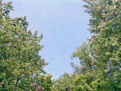 -万佛湖风景区