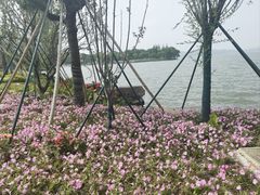 -东钱湖旅游度假区