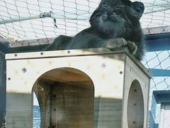 -青藏高原野生动物园