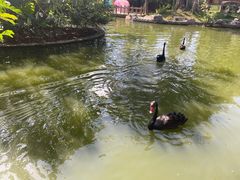 -深圳野生动物园