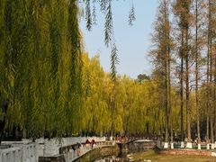 -温江公园