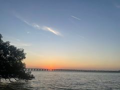 -宝安西湾红树林湿地公园