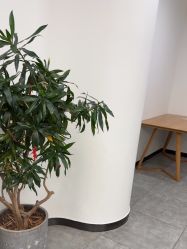 -星豆豆儿童摄影(南郊太白南路店)