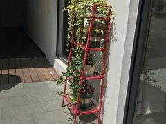 -大隐国际青年旅舍(上海陆家嘴东方明珠店)