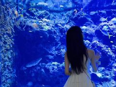 -宸玥酒店(成都西南财大地铁站店)