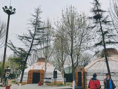 -九十九顶毡房(阜石路店)