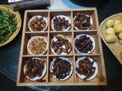 -昆虫窝子·特色云南菜(拓东路总店)