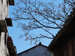 -东钱湖旅游度假区