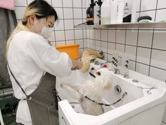 -BABIT巴比特宠物(MOMOPARK店)