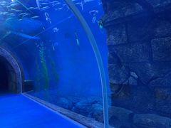 -哈尔滨波塞冬海底世界