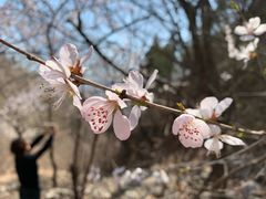-龙泉峪长城