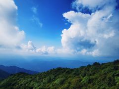 -大围山国家森林公园