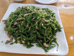 -渔家小院观海海肠捞饭地方菜(环海中路店)