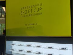 -莲花跑车(国贸商城店)