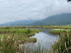 -腾冲北海湿地