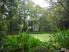 -东湖落雁景区