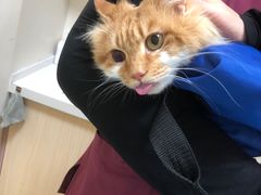-芭比堂动物医院·犬猫全科·异宠专科(雁塔分院)