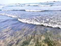 -台山黑沙湾海浴场