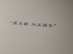 -BLACKSWAN黑天鹅(环球店)