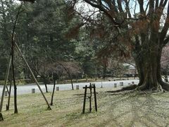 -京都御所