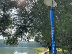 -森林公园(尖草坪区)