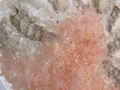 -官塘陈记鱼生·潮汕砂锅粥·牛肉火锅(潮枫路总店)