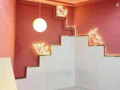 -喵园·猫主题咖啡厅·撸猫·猫咖(国贸店)