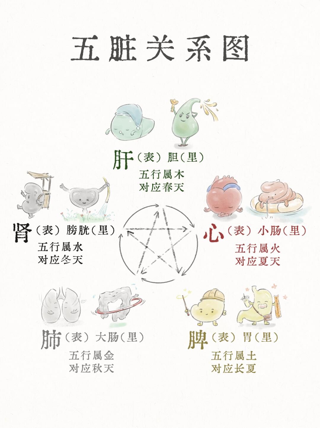 分享超有用的五脏养生知识,简单易懂,赶紧码住