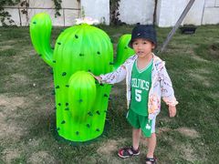 -蓬莱欧乐堡梦幻世界