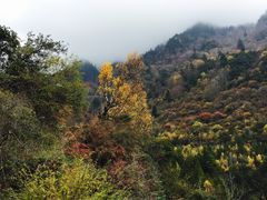 -孟屯河谷景区