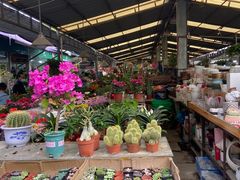 -曲阳花鸟市场(曲阳路店)