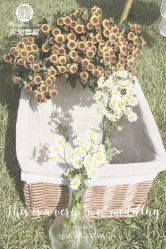 -花轿喜屋婚礼策划