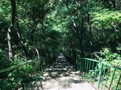 -老象峰