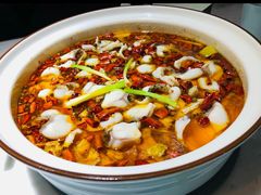 -青花椒花椒鱼(合生汇店)